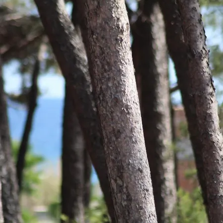 Park Le Dune Di Giovino Hotel