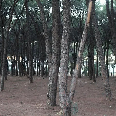 Park Le Dune Di Giovino Hotel 4*