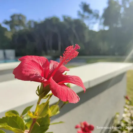 Park Le Dune Di Giovino קטנזארו