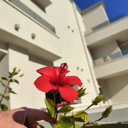 Hotel Park Le Dune Di Giovino 4*